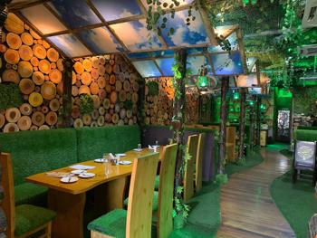 Jungle Fiesta Multi Cuisine Restaurant - Haldwani