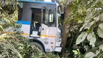 Driver's Quick Thinking Prevents Major Tragedy on Almora-Haldwani Highway