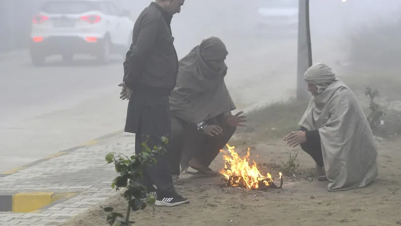 Cold Wave Hits Pune: Haveli Freezes at 8°C, Shivajinagar at 9.6°C 