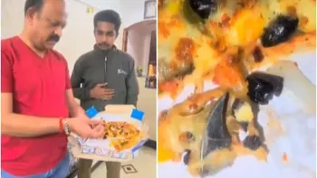 Pune Man's Pizza Night Turns Nightmare After Finding Knife Fragment in Domino's Order